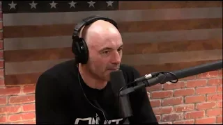 Joe Rogan - Kickboxing Should Be On Fox!