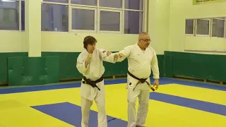 3 ¦ Reiseinin ryu Aikijutsu 2024 ¦ Techniques for Aikido cup