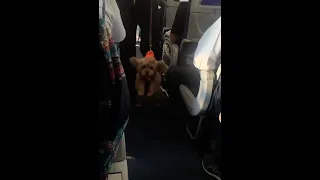 A dog gets loose on the flight and is not being nice. WAIT TIL THE END LMAO!!!