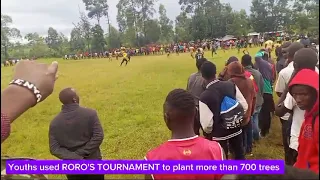 Roros cup/ planting over 700 trees