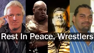 A Tribute to All WWE Wrestlers Who Died in 2017