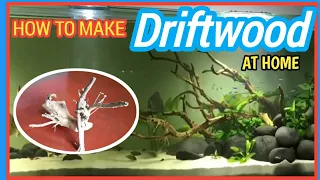 HOW TO MAKE DRIFTWOOD.  DIY driftwood step by step process. Home made driftwood for your aquarium.