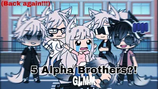 5 Alpha Brothers || GLMM || Season 5 Episode 1