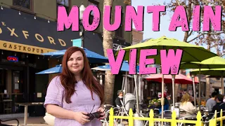 Mountain View - центр Кремниевой Долины | Плюсы и минусы города Маунтин-Вью в Силиконовой Долине
