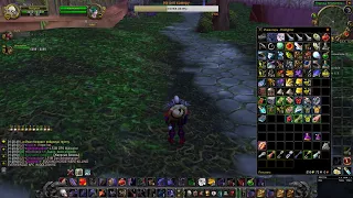 World of Warcraft: Classic 1.12.1 -  Идём в Огненные Недра (Molten Сore). И на Ониксию (Ony)