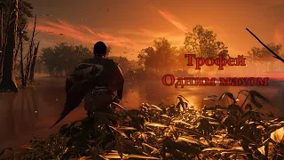 Ghost of Tsushima: Трофей "Одним махом"