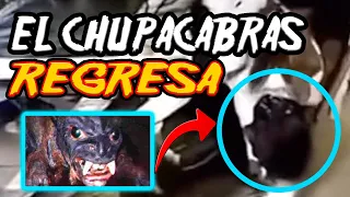 EL CHUPACABRAS REGRESA Y ES GRABADO ATACANDO A SU PRESA