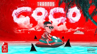 TRANNOS - COCO (Visualiser)