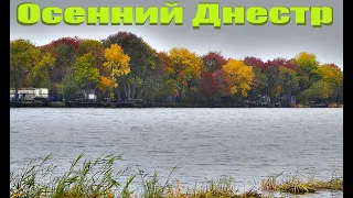 Осенний Днестр, рыбалка 2022.