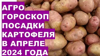 Агрогороскоп посадки картофеля в апреле 2024 года Agrohoroscope for planting potatoes in April 2024