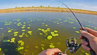 Так может только МОРМЫШИНГ! Эффективная ловля Карася на Спиннинг в кувшинках