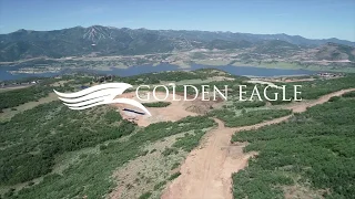 Golden Eagle Drone