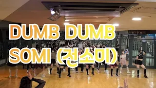 SOMI(전소미)-DUMB DUMB덤덤 커버댄스 cover dance [MIRRORED]