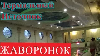 Термальный Источник "Жайворонок"Берегово. Закарпатье .Цены. Купаемся под открытым небом