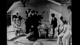 The Association on "Where the Action is"  Cherish 1966 w/interviews