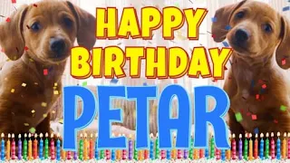 Happy Birthday Petar! ( Funny Talking Dogs ) What Is Free On My Birthday