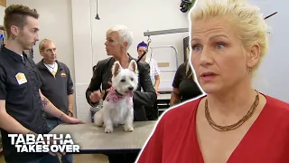 Tabatha Takes Over | Season 4 Episode 9 | Reality TV Full Episodes