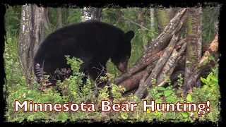 Christian's First Bear! | Minnesota Bear Hunting