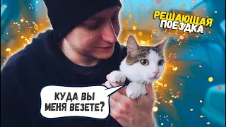 Спасение котика с раной на шее. Решающая поездка / SANI vlog