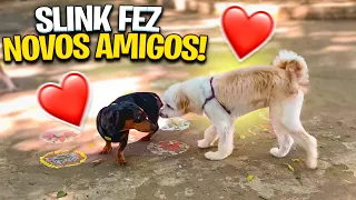 LEVEI O SLINK PRO PARQUE DE ANIMAIS.