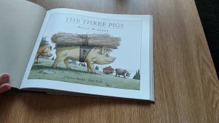 Three Pigs by David Wiesner Peritextual analysis