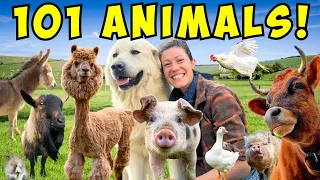 Morning Chores FARM TOUR! | Meet ALL My Animals!