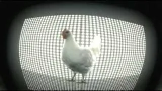 Techno Chicken