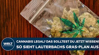 CANNABIS IN DEUTSCHLAND: Legal? Das solltest Du jetzt wissen! So sieht Lauterbachs Gras-Plan aus!