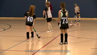 U12 Great White Sharks vs U12 Greytips