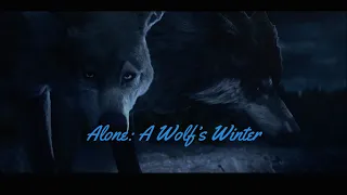 Impossible 0.0000001% Odds! you will be happy | Alone: A Wolf's Winter