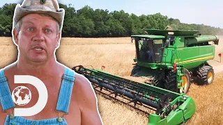 Tim Gets Free Barley To Make Single Malt Moonshine As Long As He Harvests It Himself | Moonshiners