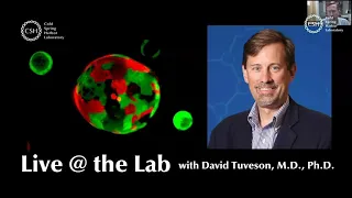 Live At The Lab: David Tuveson