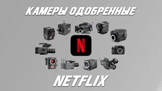 На какую камеру снимать для Netflix. Обзор утвержденных камер.