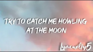 Howling at the moon - D Fine US ft. VIGZ(lyrics)