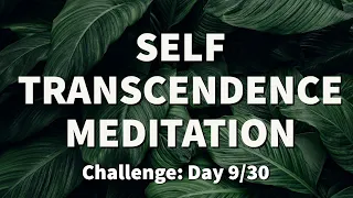 Meditation for TRANSCENDENCE - Transcendental Experience | 2022 Challenge - Day 9  | Raphael Reiter