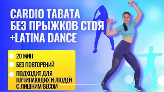 cardio tabata+dance total body/тренировка для всех уровней/без прыжков/без повторений/эффективно