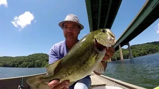 Live Shiners For Big Bass