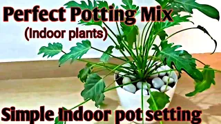 Indoor plant soil  mix /Potting mix/Indoor plants malayalam/Indoor plant potting mix malayalam/