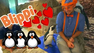 Blippi Visits an Aquarium (Ody Aquarium) | BEST OF BLIPPI | Educational Videos For Kids