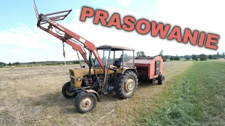 Prasowanie siana - Ursus C-330 + Carraro Olimpic 1200