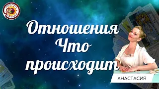 Расстановка: Отношения что происходит. Общий расклад Анастасия Шучалина