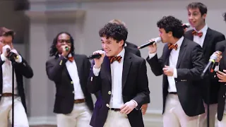 Elastic Heart | The Virginia Gentlemen (Sia Cover)