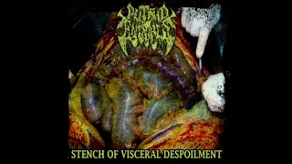 Putrid Entrails - Splattered Brain Cracker