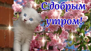 🌺Получишь От Судьбы Подарки! 🌺Музыкальная Открытка Пожелания!