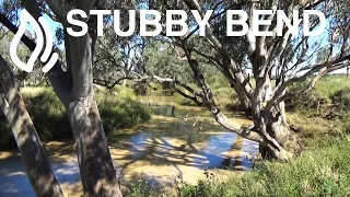 Stubby Bend Camping area - Tambo, Queensland