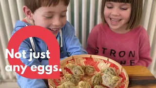 Siblings hatch twelve chicks from a box of quail eggs from M&S | SWNS