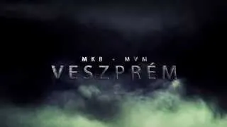 PSG HANDBALL - MKB - MVM Veszprém 2014. I