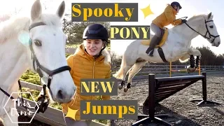 New Show Jumps and a Spooky Pony! | AD | This Esme