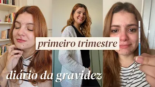 PRIMEIRO TRIMESTRE DA GRAVIDEZ - Diário da Gravidez