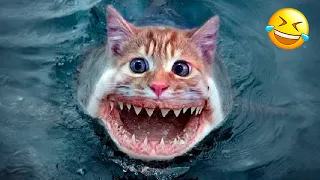 Funny Dogs And Cats Videos 2024 😅 - Best Funniest Animal Videos Of The week Part 24